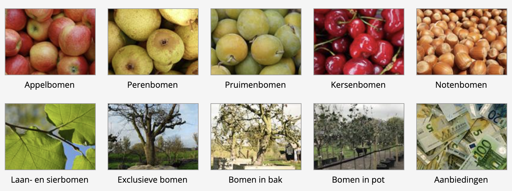 Assortiment Douwe Dokter